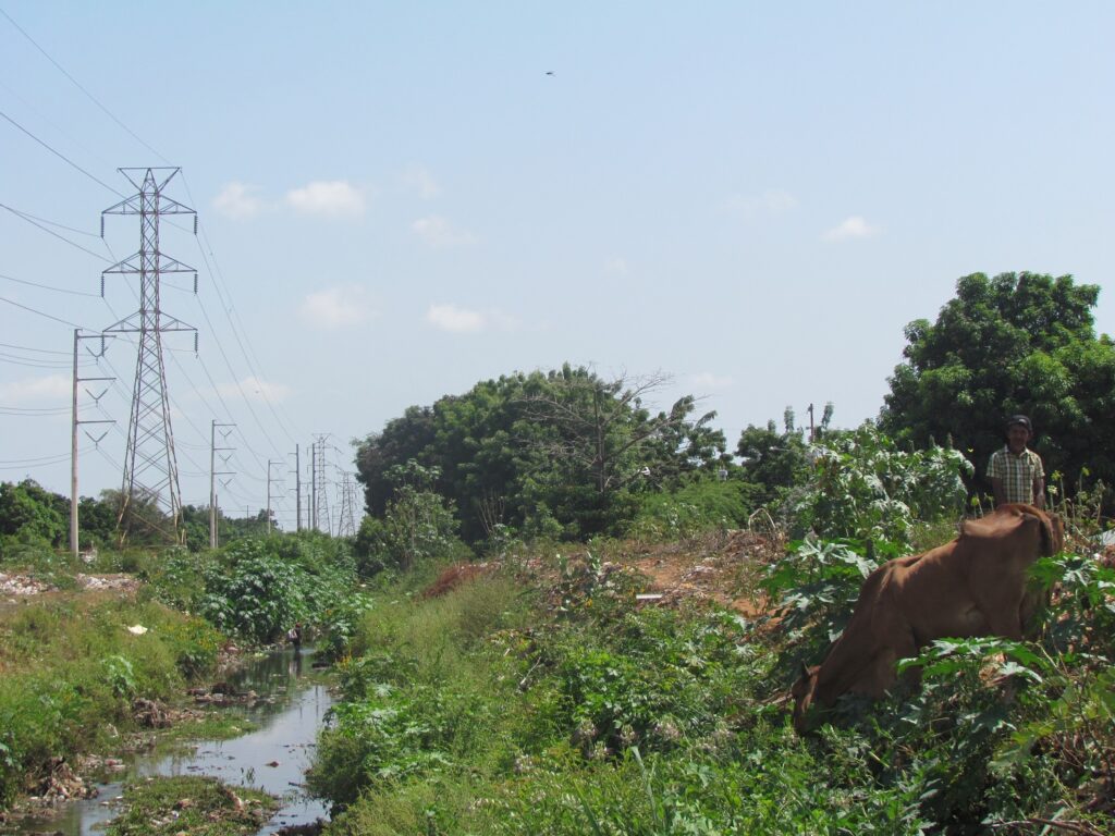 biogás en Venezuela