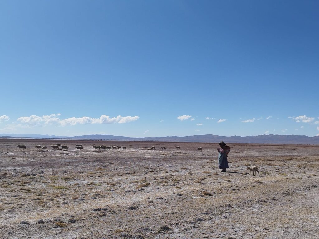 Ancotanga acoge a la planta solar más grande de Bolivia y pelea contra el olvido