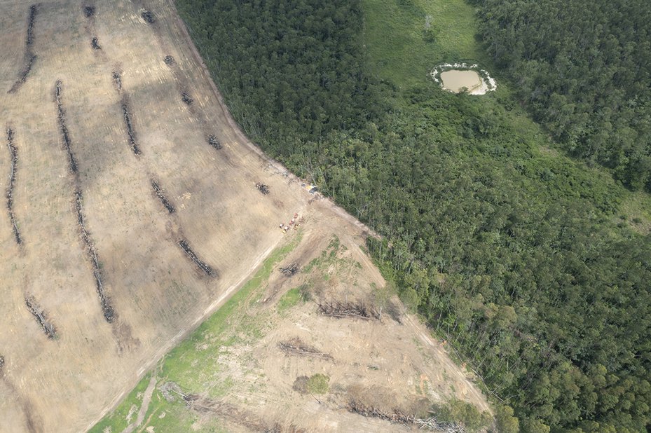 Deforestación Amazonía. Crédito: Global Witness.