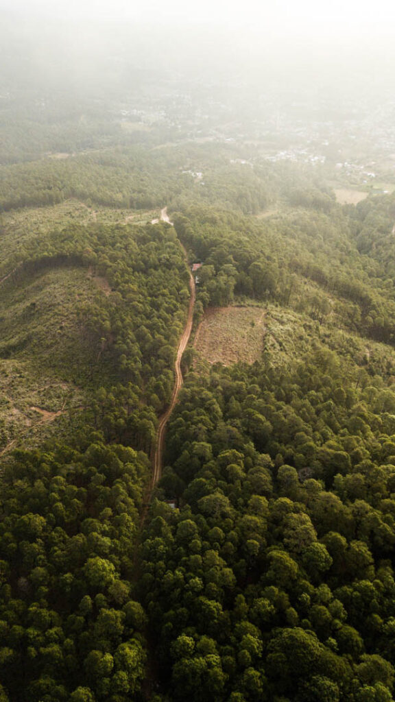 En el caso de América Latina, las emisiones provenientes del cambio de uso del suelo (paso de zonas boscosas a agricultura o urbanizaciones) son las que mayormente abultan la huella de carbono. La imagen corresponde a La Esperanza, en Honduras. Crédito: Esteban Benites / Unsplash