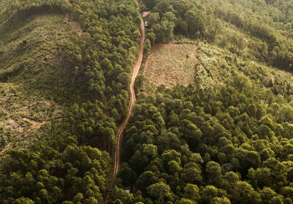 En el caso de América Latina, las emisiones provenientes del cambio de uso del suelo (paso de zonas boscosas a agricultura o urbanizaciones) son las que mayormente abultan la huella de carbono. La imagen corresponde a La Esperanza, en Honduras. Crédito: Esteban Benites / Unsplash