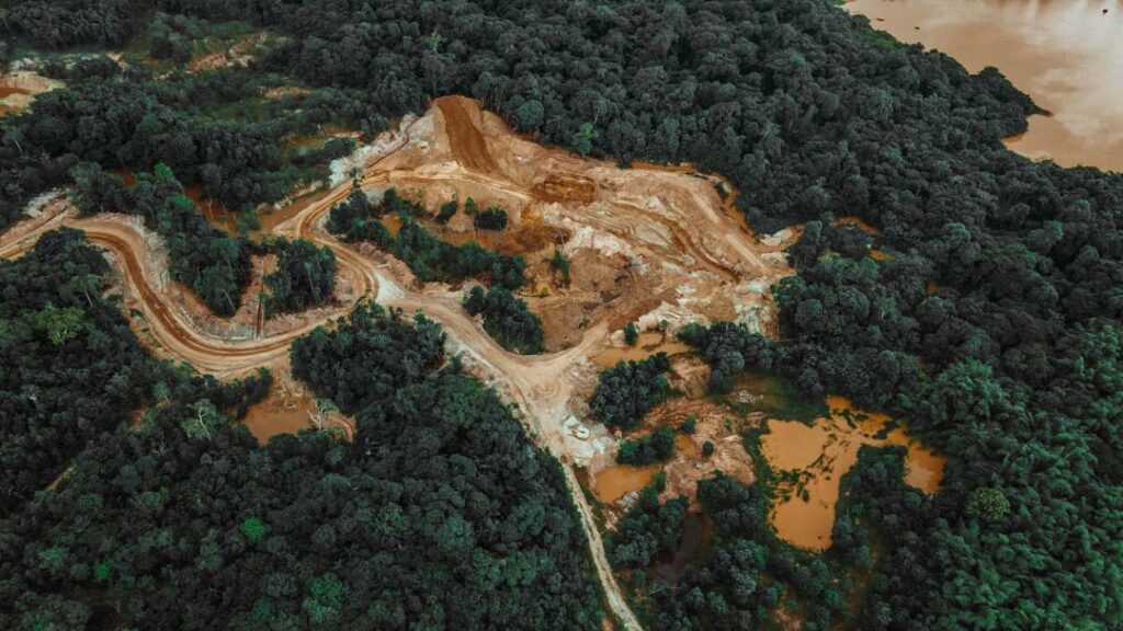 Vista aérea de un camino de tierra en medio de un bosque en Sangre Grande, Trinidad y Tobago. Crédito: Renaldo Matamoro / Unsplash