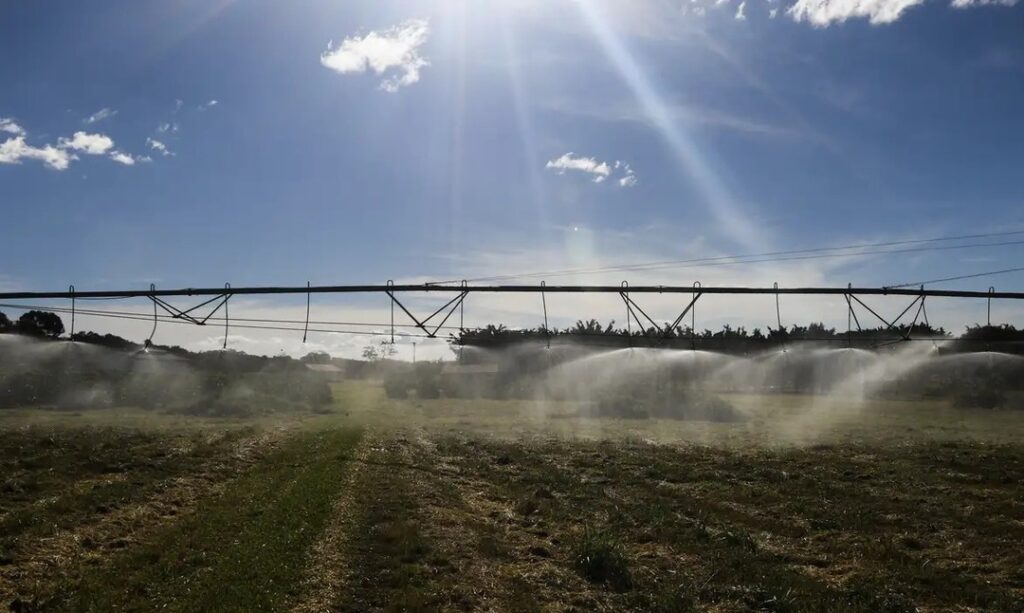 Projeto de Lei deixa setor do Agronegócio de fora da obrigatoriedade de regular suas emissões. Foto: Valter Campanato/Agência Brasil