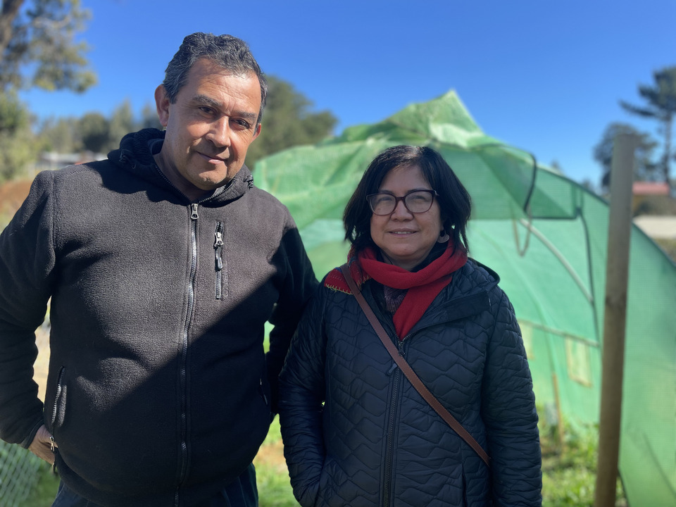 Jorge Henríquez, director de la Escuela Pública Bajo Yupehue, y Doris Sáez Hueichapan, investigadora del Instituto de Sistemas Complejos de Ingeniería (ISCI) de la Universidad de Chile, lideran el equipo encargado de implementar el invernadero inteligente. Crédito: Marta Apablaza Riquelme