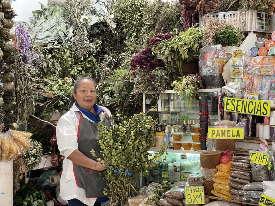 Margarita Sambachi muestra un ramo de hojas de arrayán de Quito. Foto: Alexis Serrano Carmona.