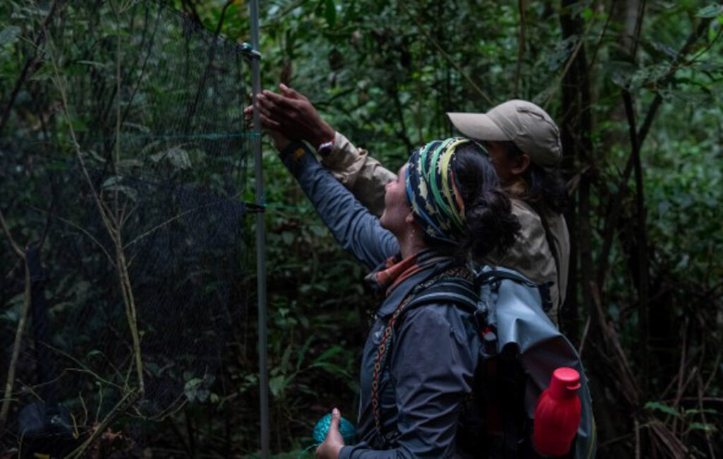 Amazonia colombiana