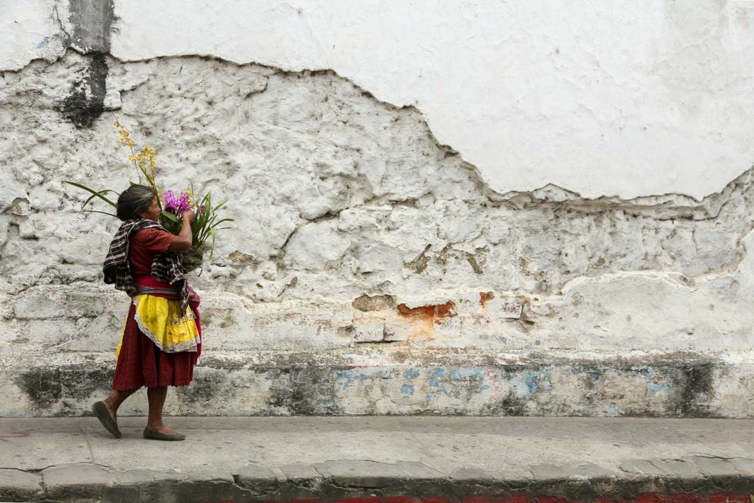 Participa en taller sobre periodismo de soluciones para historias climáticas con perspectiva de género en América Latina