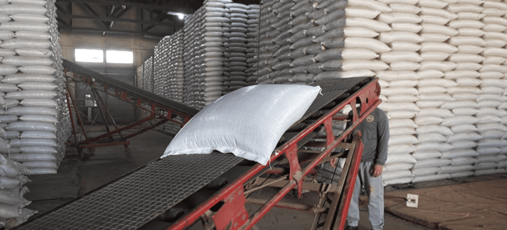 Pimenta-do-reino para exportação na Cooperativa Agrícola de Tomé-Açu. Foto: Edenilton Marques