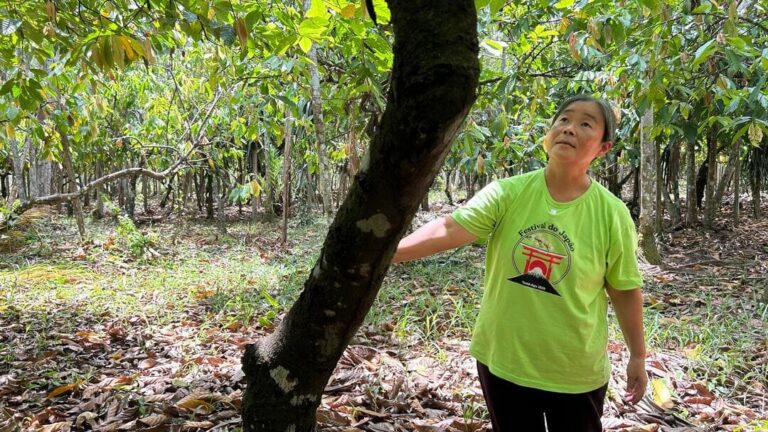 Produtora rural Cristina Maeda – imigrante japonesa que atua na Amazônia. Foto: Tayana Narcisa