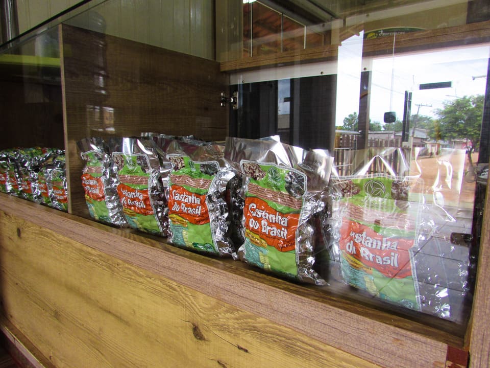 Castanha do Brasil. Foto: Tácila Matos