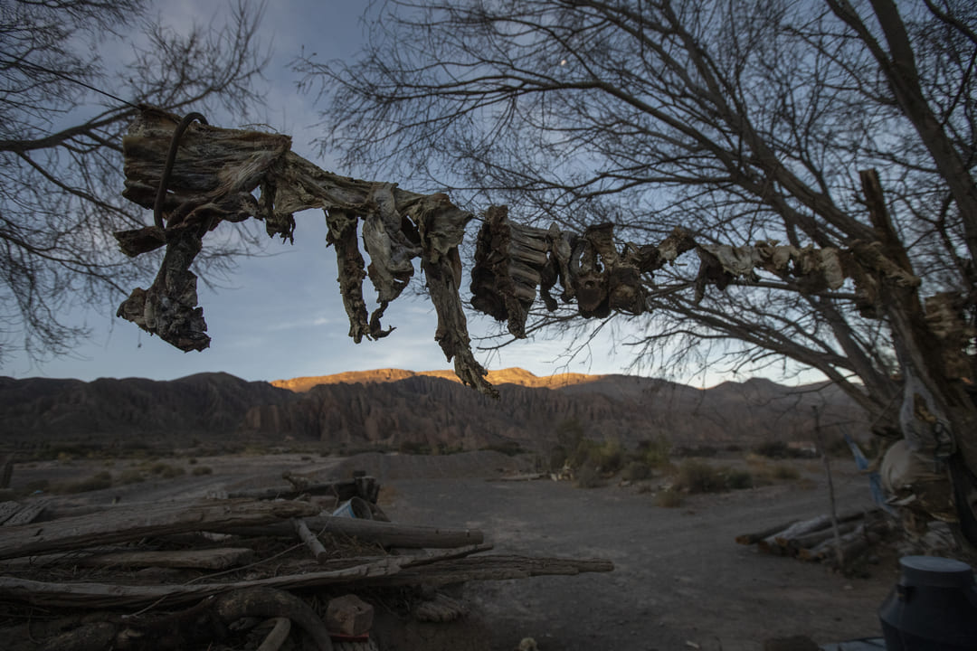 El charqui es una técnica ancestral utilizada en los Andes para conservar la carne sin refrigeración. La carne de cordero en tiras se deja secar al sol. Las familias de la Quebrada del Toro y otros entornos rurales sobreviven sin servicios básicos como agua potable, sanidad y electricidad.