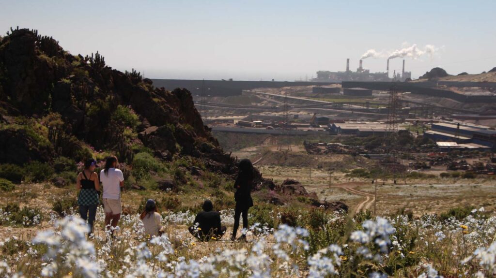 Termoeléctrica Guacolda
