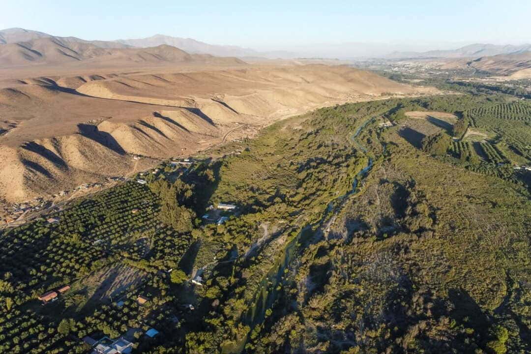 El valle del Huasco es el último valle fértil antes del desierto de Atacama. Fotos: Diego Figueroa/MigrarPhoto